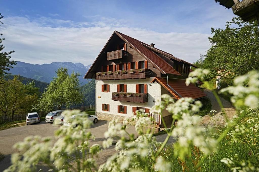 Farm Stay "Alpine Dreams" Солчава Экстерьер фото