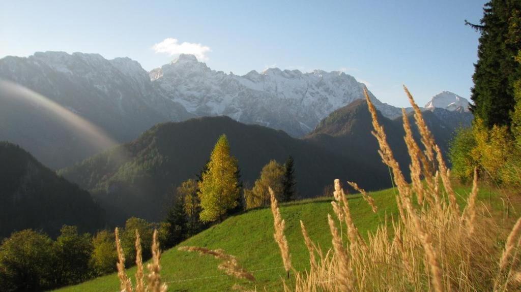 Farm Stay "Alpine Dreams" Солчава Экстерьер фото