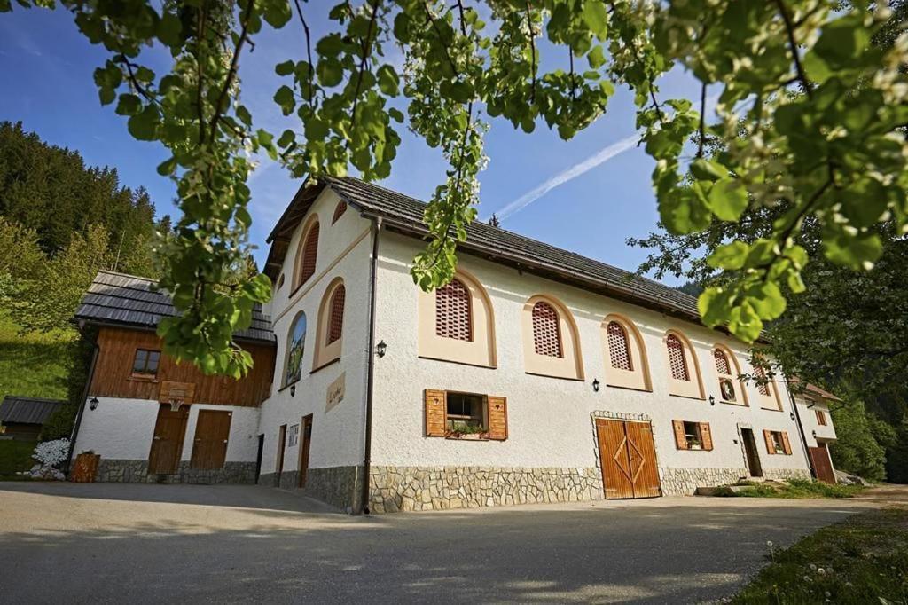 Farm Stay "Alpine Dreams" Солчава Экстерьер фото