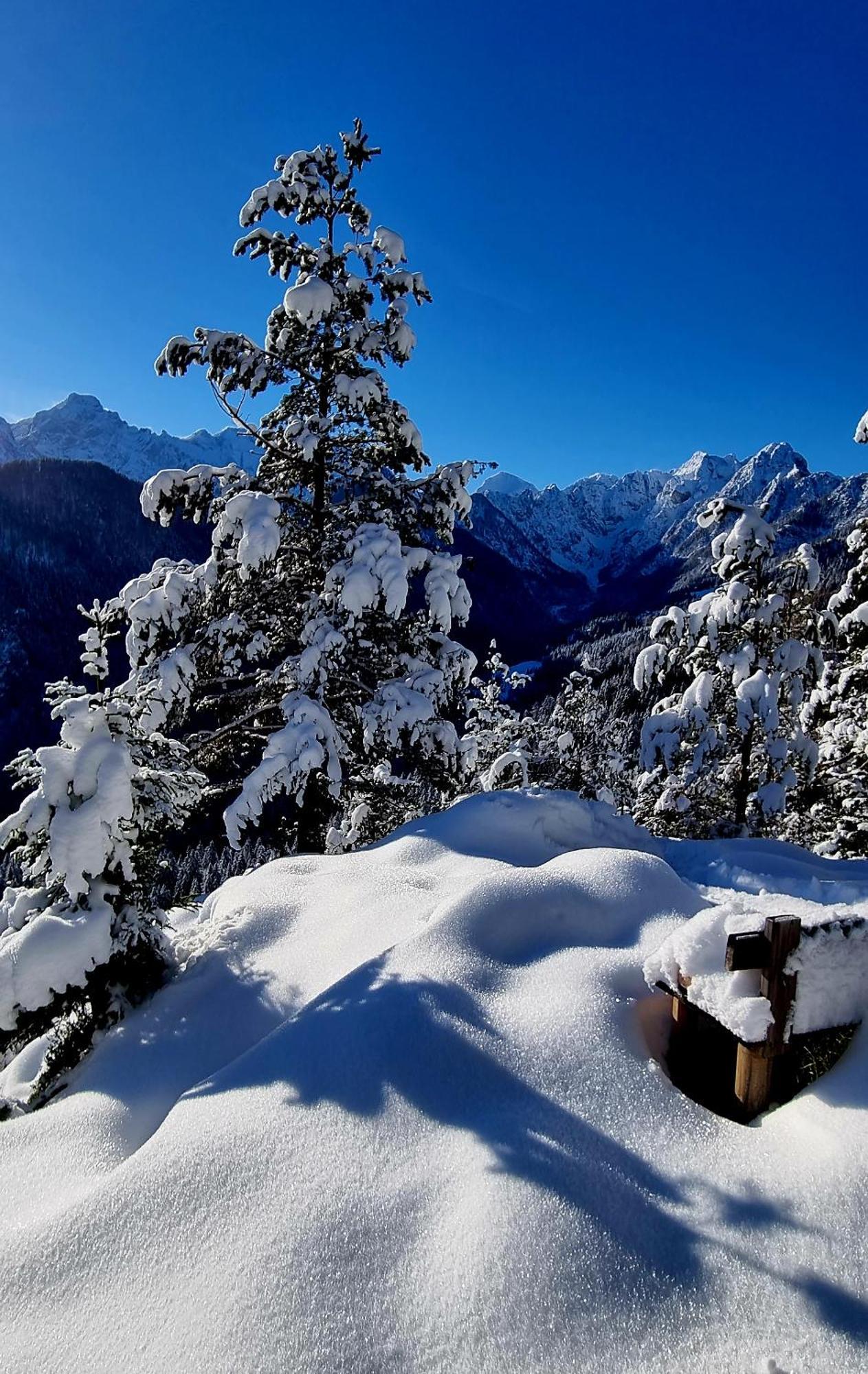 Farm Stay "Alpine Dreams" Солчава Экстерьер фото