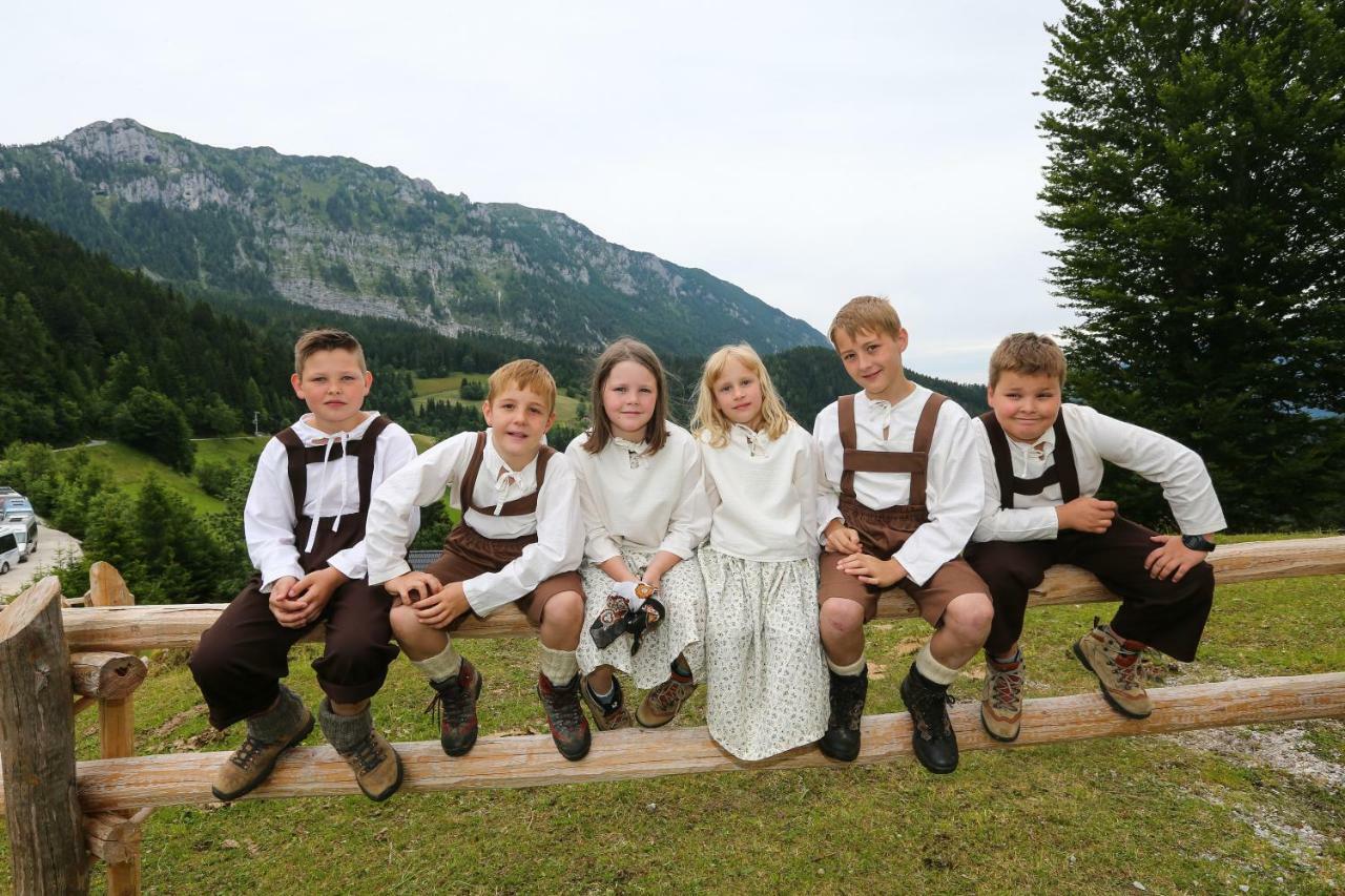 Farm Stay "Alpine Dreams" Солчава Экстерьер фото